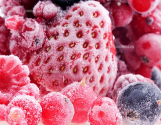 «Агроспецгосп» планує збудувати завод із шокової заморозки плодів і овочів